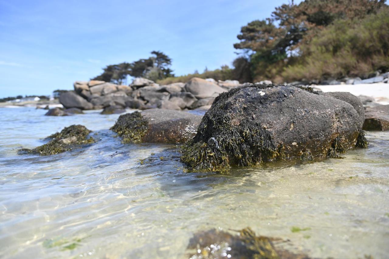 Entre Terre et Mer Plougoulm Eksteriør bilde